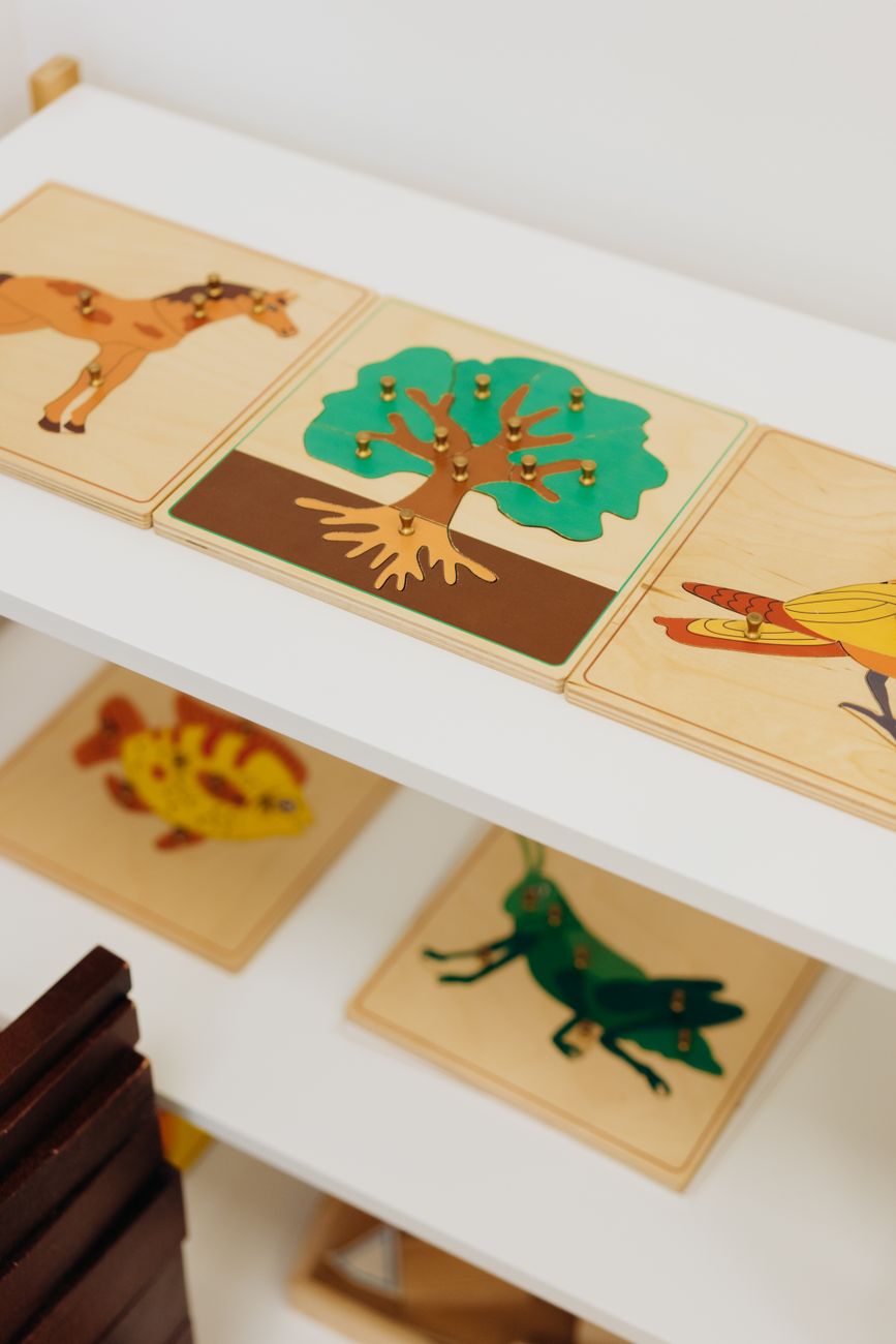 Illustration de l'article : activites montessori